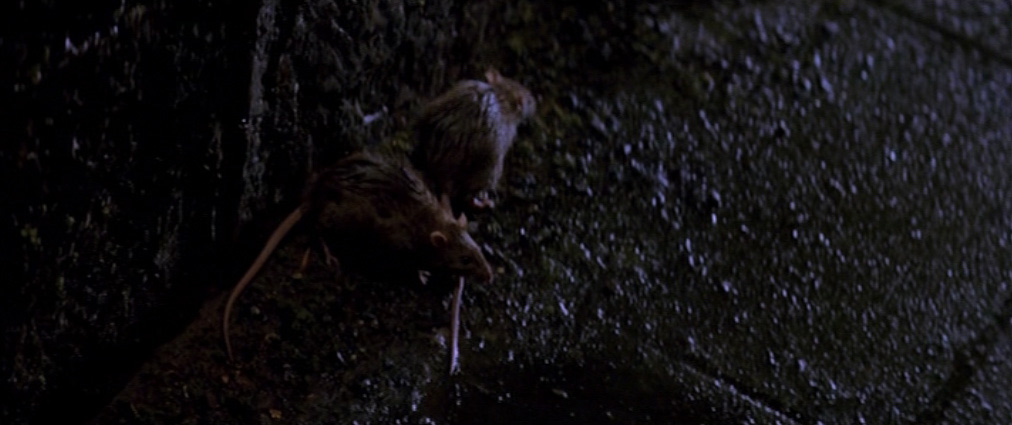 The Phantom of the Opera (2004). Cinematography by John Mathieson. Starring Emmy Rossum. The Phantom of the Opera