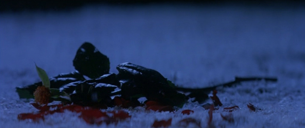 The Phantom of the Opera (2004). Cinematography by John Mathieson. Starring Emmy Rossum. The Phantom of the Opera