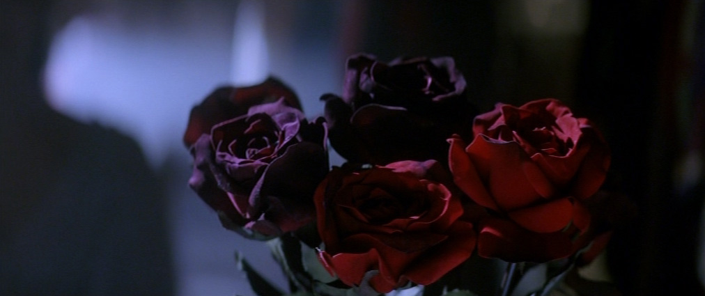 The Phantom of the Opera (2004). Cinematography by John Mathieson. Starring Emmy Rossum. The Phantom of the Opera