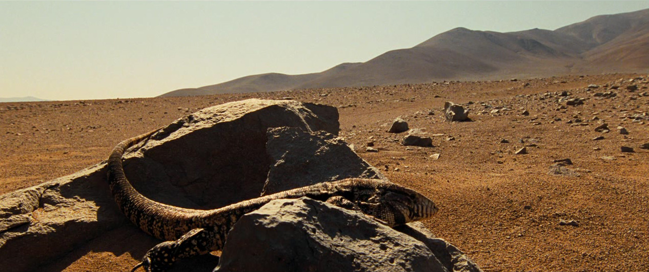 James Bond: Quantum of Solace (2008). Starring Daniel Craig and Olga Kurylenko Quantum of Solace