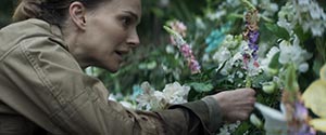 Annihilation. Cinematography by Rob Hardy (2018)