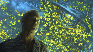 Avatar. Cinematography by Mauro Fiore (2009)
