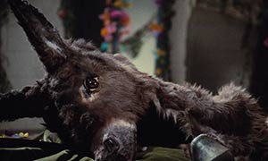 Donkey Skin. Cinematography by Ghislain Cloquet (1970)