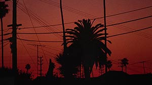 El Norte. Cinematography by James Glennon (1983)