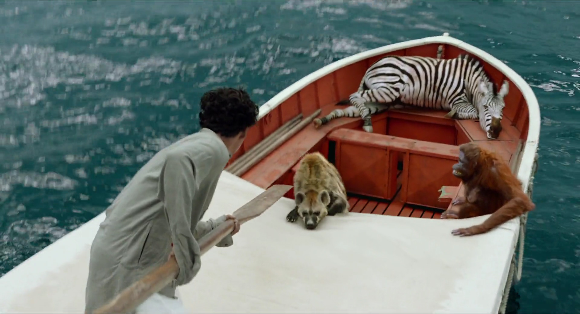 2012 Life Of Pi