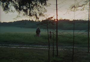 Mirror. Cinematography by Georgi Rerberg (1975)