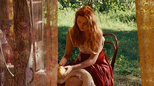 Renoir. Cinematography by Mark Lee Ping-Bing (2012)