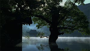 Spring, Summer, Fall, Winter... and Spring. Cinematography by Dong-hyeon Baek (2003)