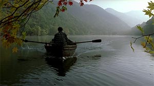 Spring, Summer, Fall, Winter... and Spring. Cinematography by Dong-hyeon Baek (2003)