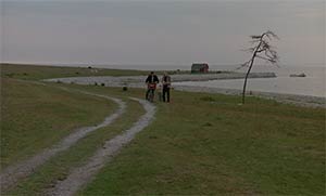 The Sacrifice. Cinematography by Sven Nykvist (1986)