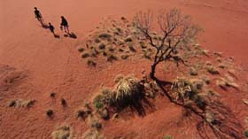 Walkabout. Cinematography by Nicolas Roeg (1971)