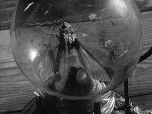 Woman in the Dunes. Cinematography by Hiroshi Segawa (1964)