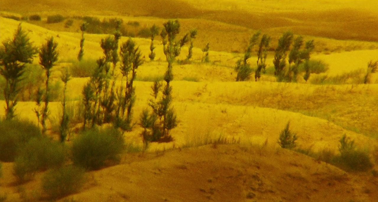 desert landscape in Ashes of Time