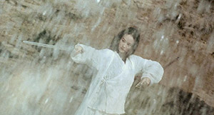 Brigitte Lin in Ashes of Time