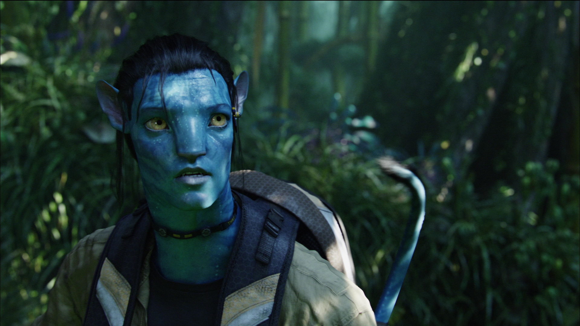 Аватар 3 семя. Аватар 2009. Avatar 2009 screencaps.
