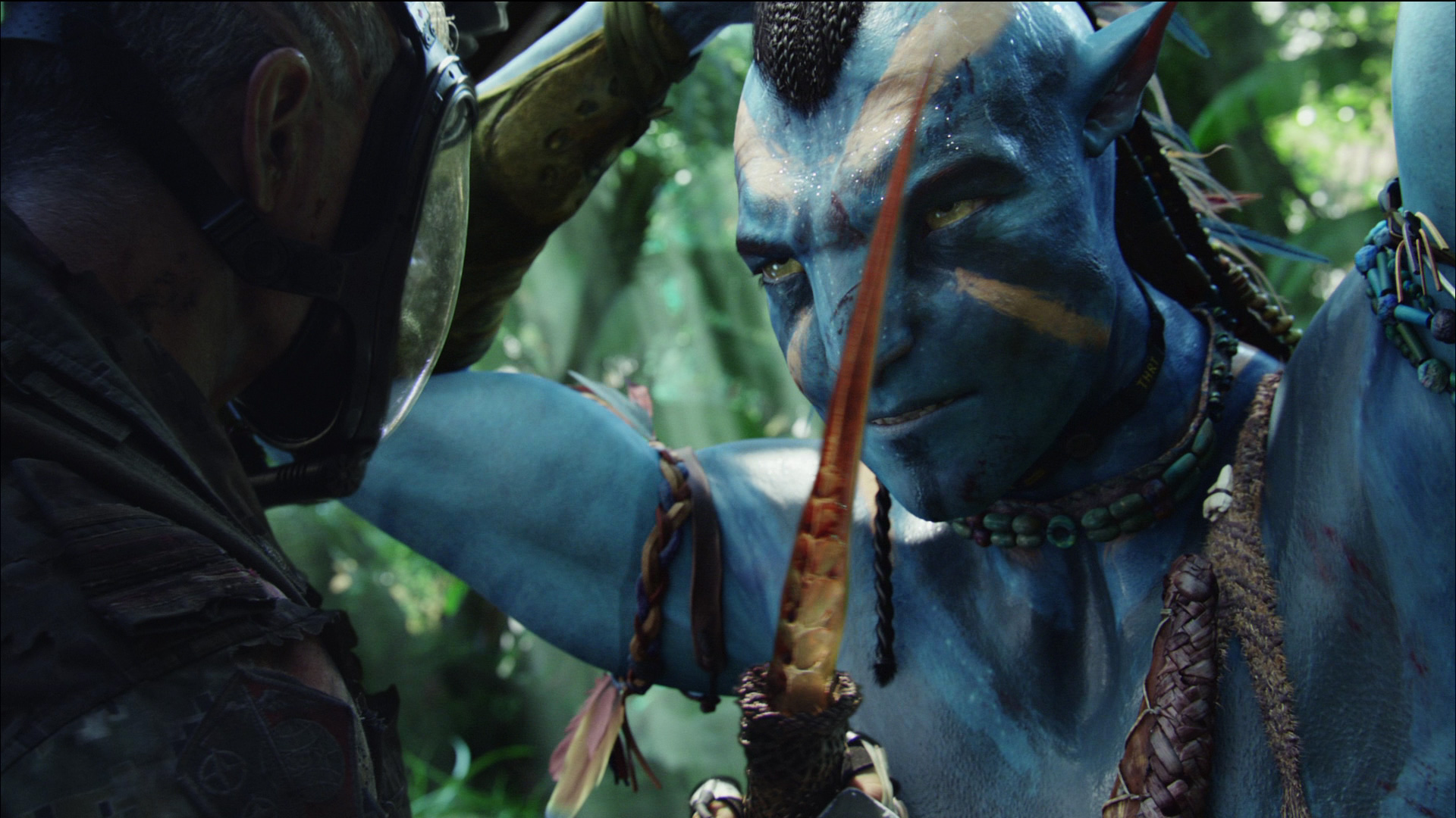 James cameron's avatar ключ. Джейк Салли. Аватар фильм 2009 цутей. Тсутей аватар актер. Цутей и Джейк Салли.