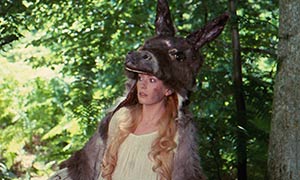 Donkey Skin movie 1970