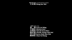 end credits in Fallen Angels