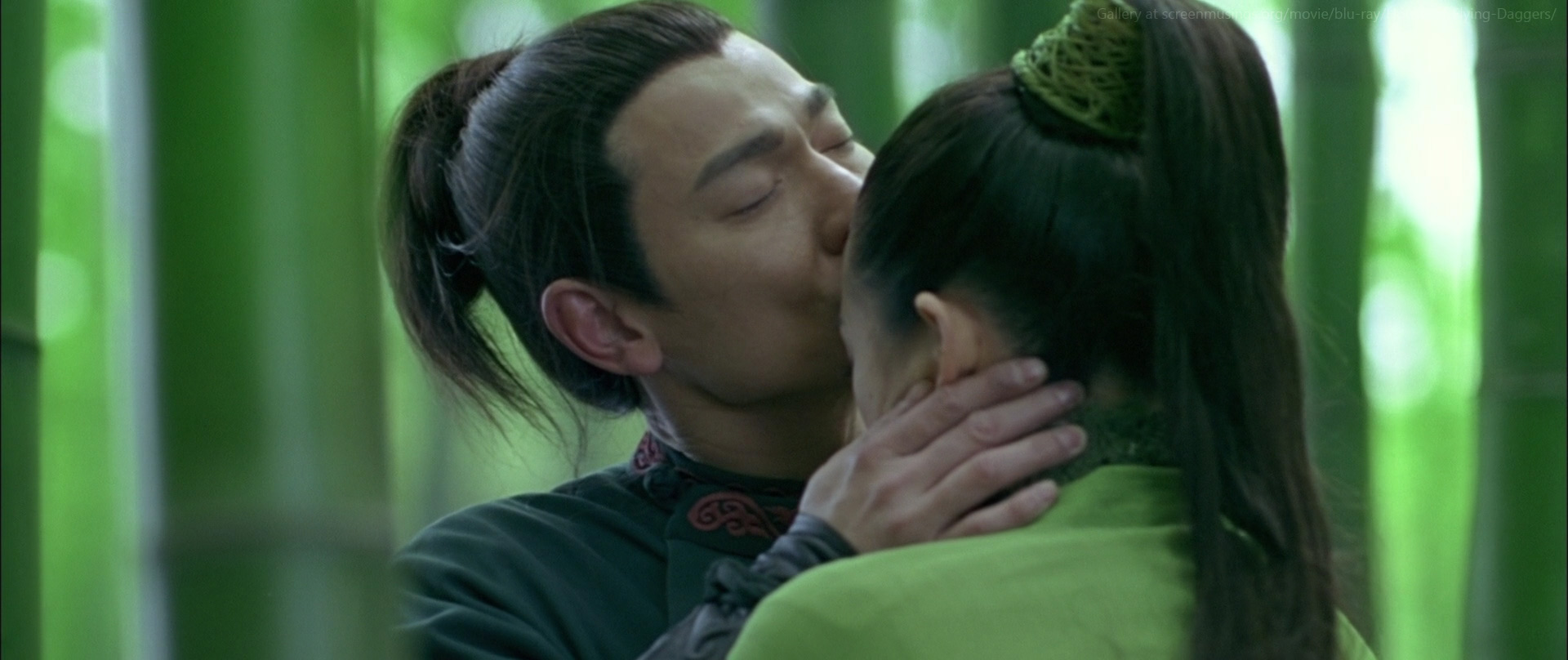 Andy Lau in House of Flying Daggers