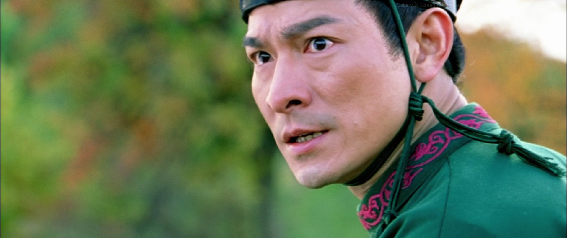 Andy Lau in House of Flying Daggers