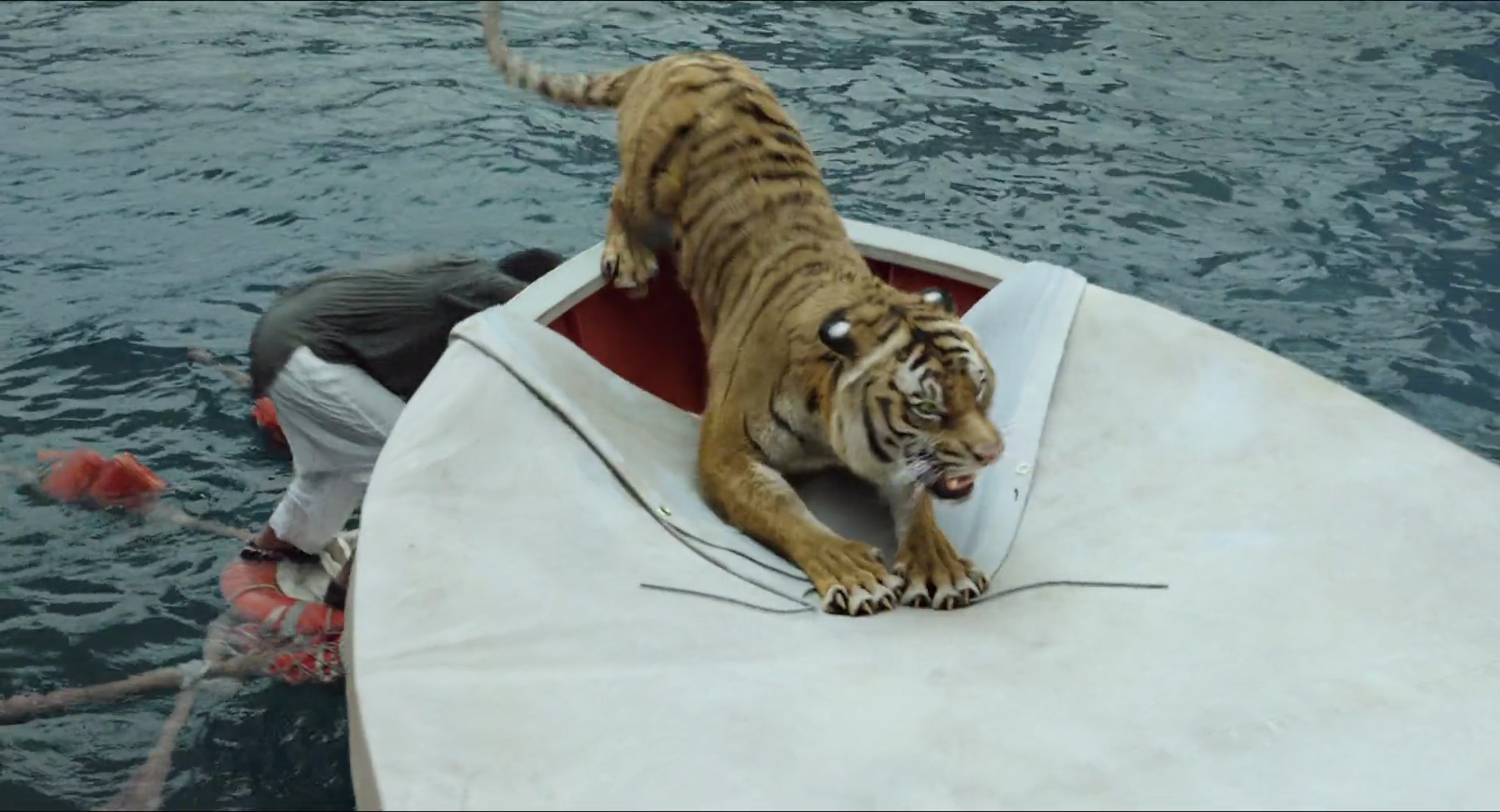 Life Of Pi 237   Life Of Pi 237 