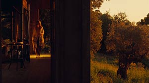 Renoir. Cinematography by Mark Lee Ping-Bing (2012)