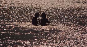 The Blue Lagoon. romance (1980)