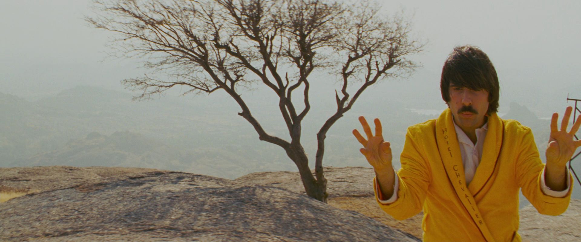 The Darjeeling Limited (2007)  Wes anderson films, Wes anderson