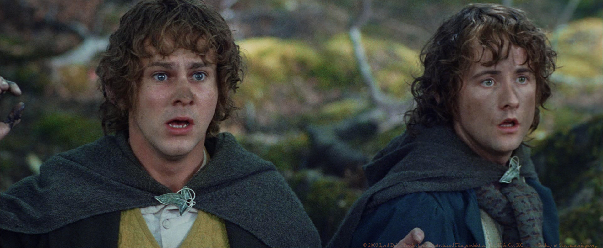 Billy Boyd, Dominic Monaghan in The Lord of the Rings: The Return of the King
