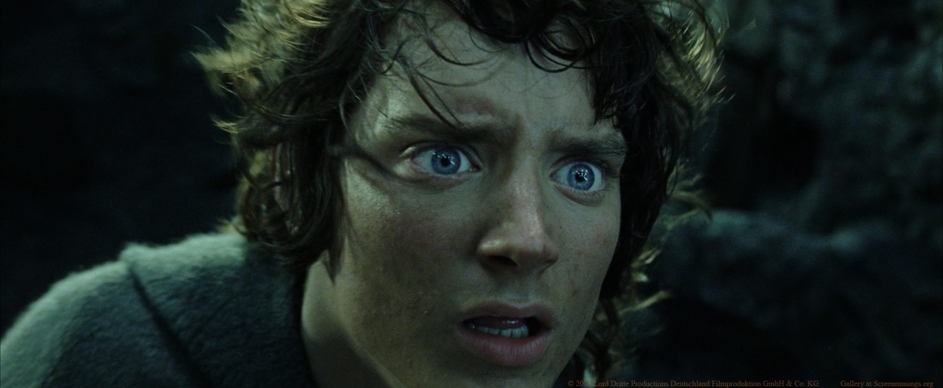 Elijah Wood, Frodo in The Lord of the Rings: The Return of the King