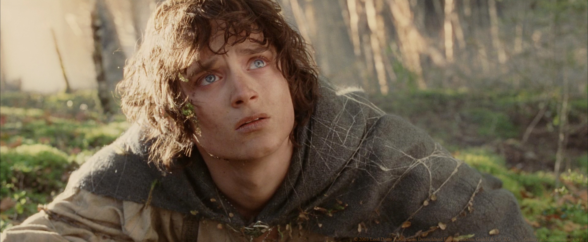 Elijah Wood, Frodo in The Lord of the Rings: The Return of the King