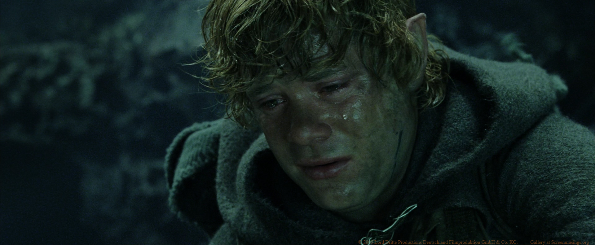 Властелин колец возвращение короля 2003. Fabian MCCALLUM Lord of the Rings. Wesley's Samwise Salutations.