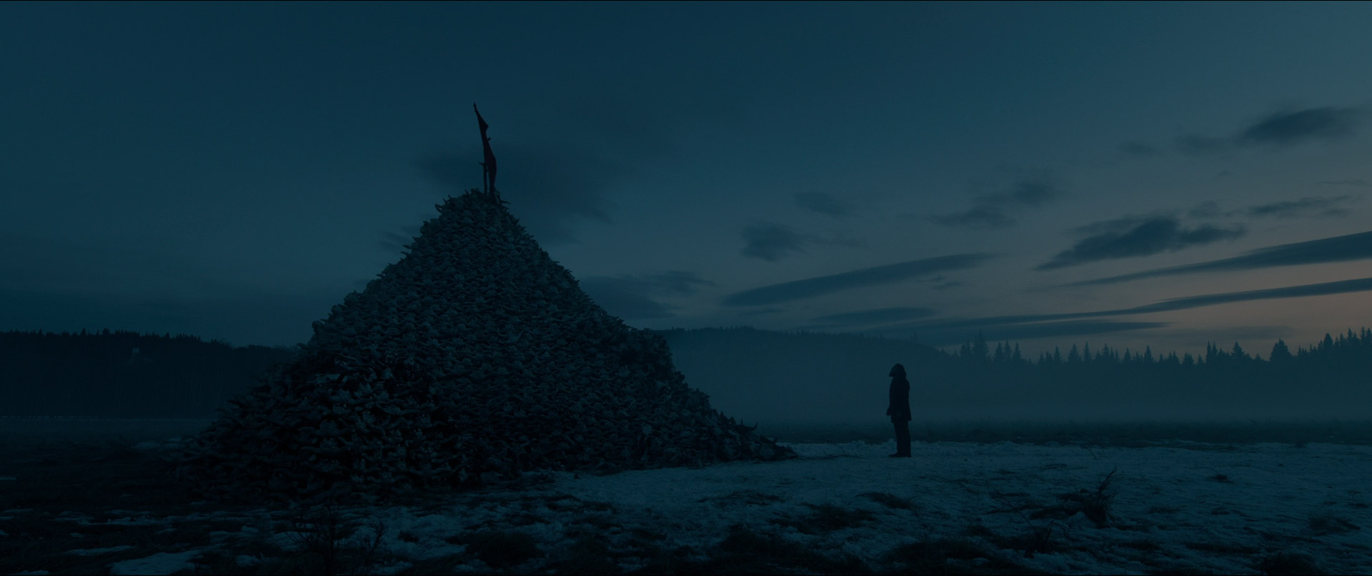 silhouette, extreme long shot in The Revenant