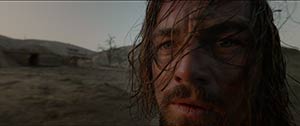 The Revenant. Alejandro González Iñárritu (2015)