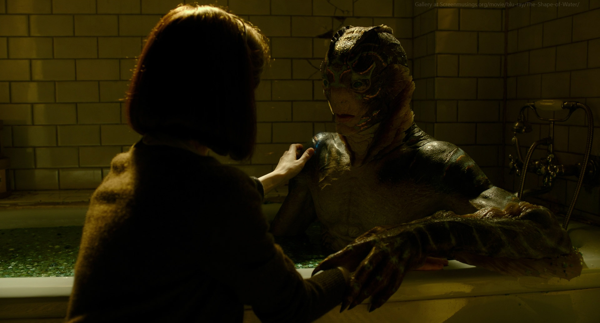 The Shape of Water. 