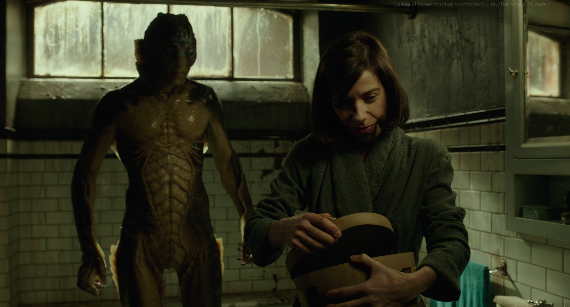 The shape of water nude - 🧡 Sally Hawkins Nude Scene With The Cre...