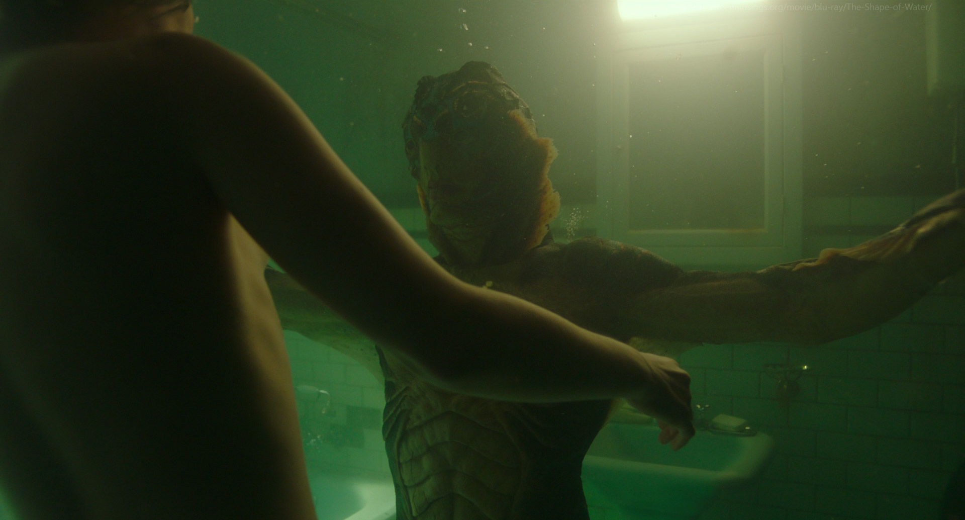 The Shape of Water. 