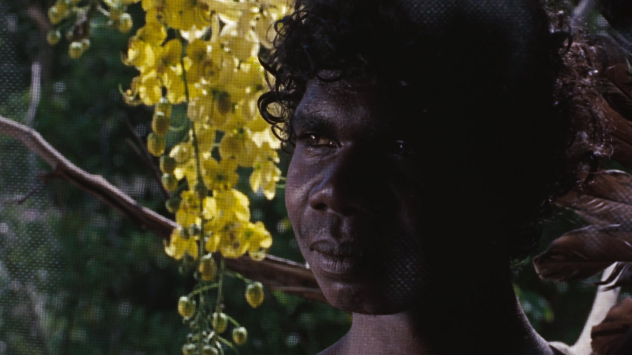 aborigine, David Gulpilil in Walkabout