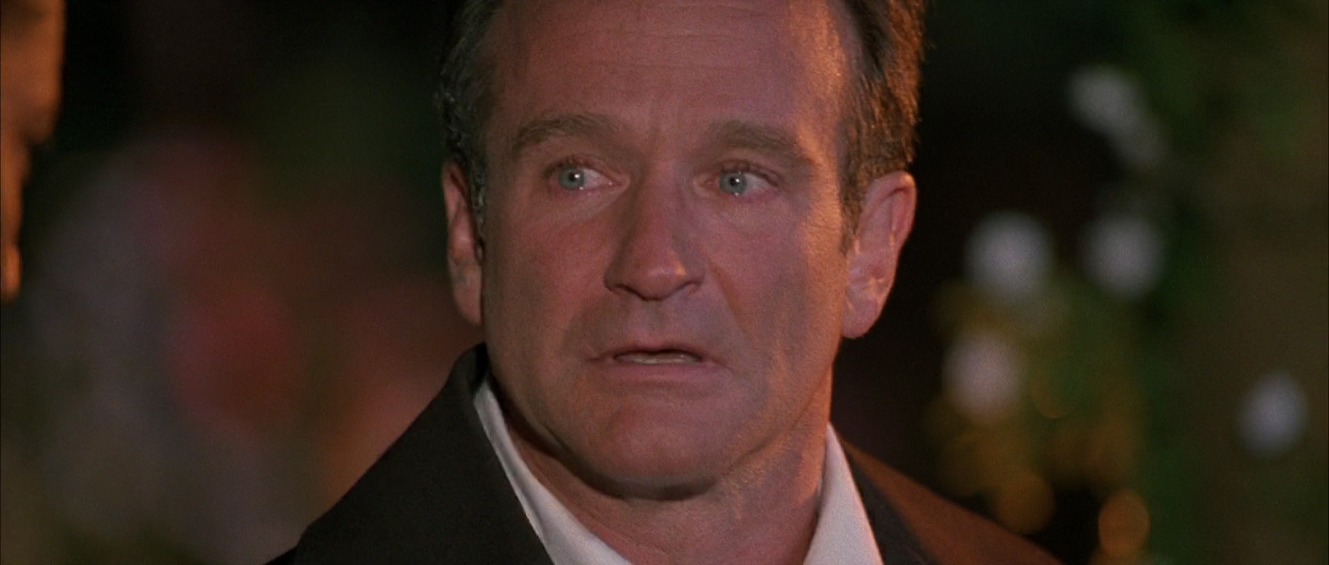 Robin Williams in What Dreams May Come