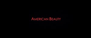 opening title in American Beauty