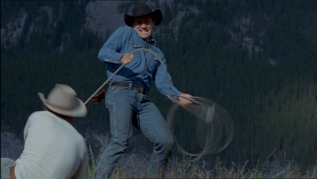 Brokeback Mountain. 