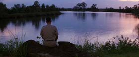 Forrest Gump. Cinematography by Don Burgess (1994)