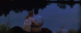 Forrest Gump. Cinematography by Don Burgess (1994)