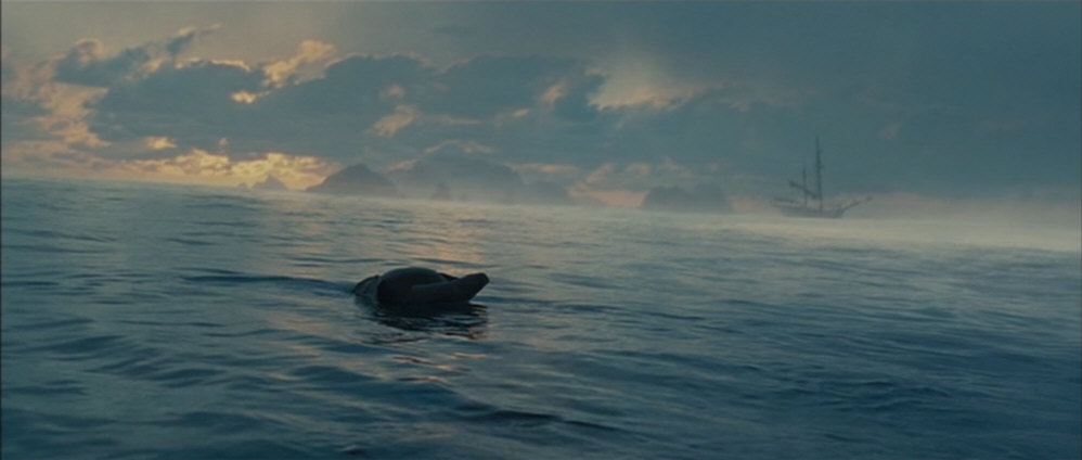 Дельфины уплывают в океан слушать
