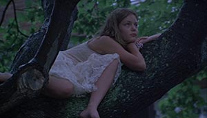 The Virgin Suicides. USA (1999)