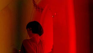 There's Only One Sun. Wong Kar-Wai (2007)